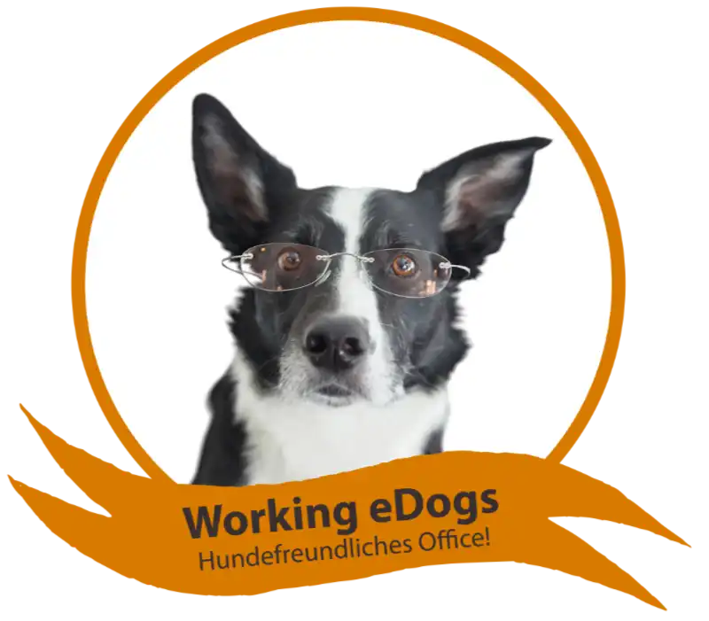 Working eDogs – Hundefreundliches Office bei eDok Hund mit Brille – Symbol für hundefreundliches Arbeiten bei eDok
